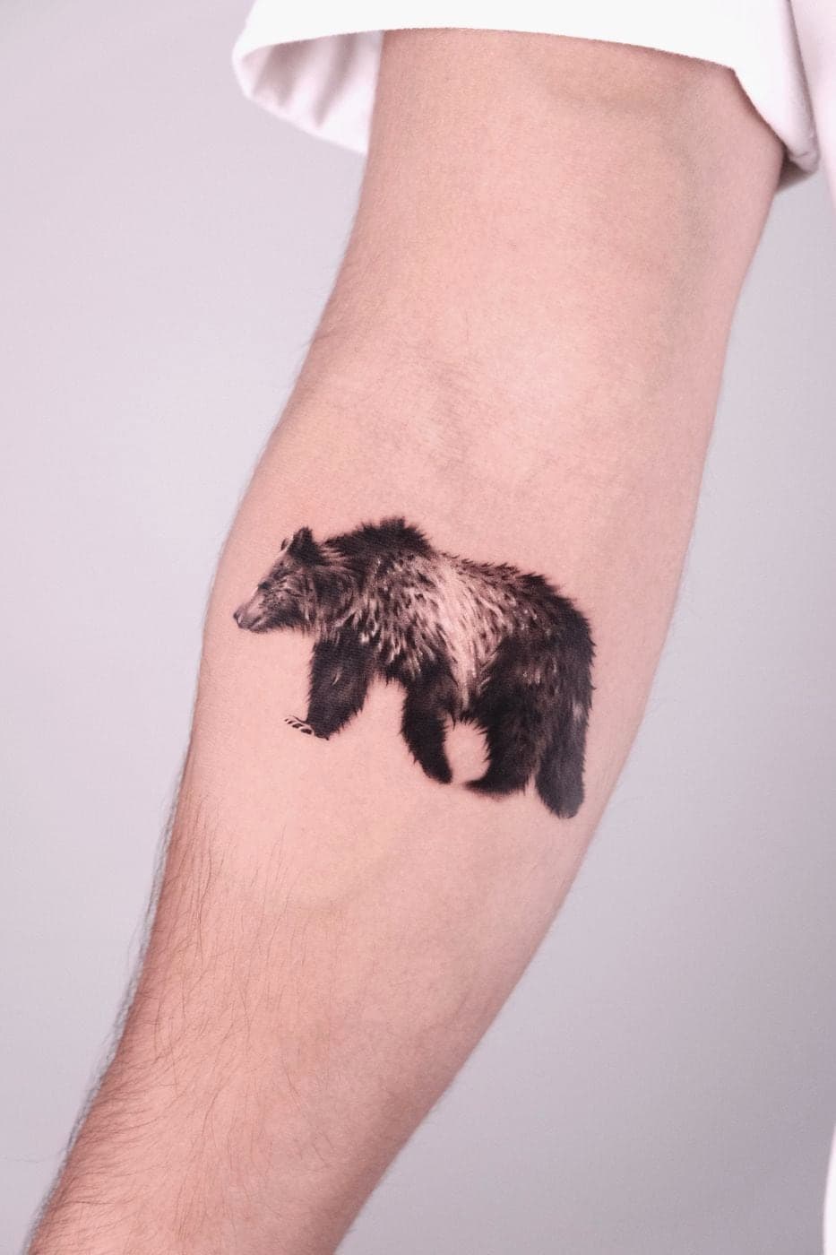 Hình xăm black & grey gấu tả thực